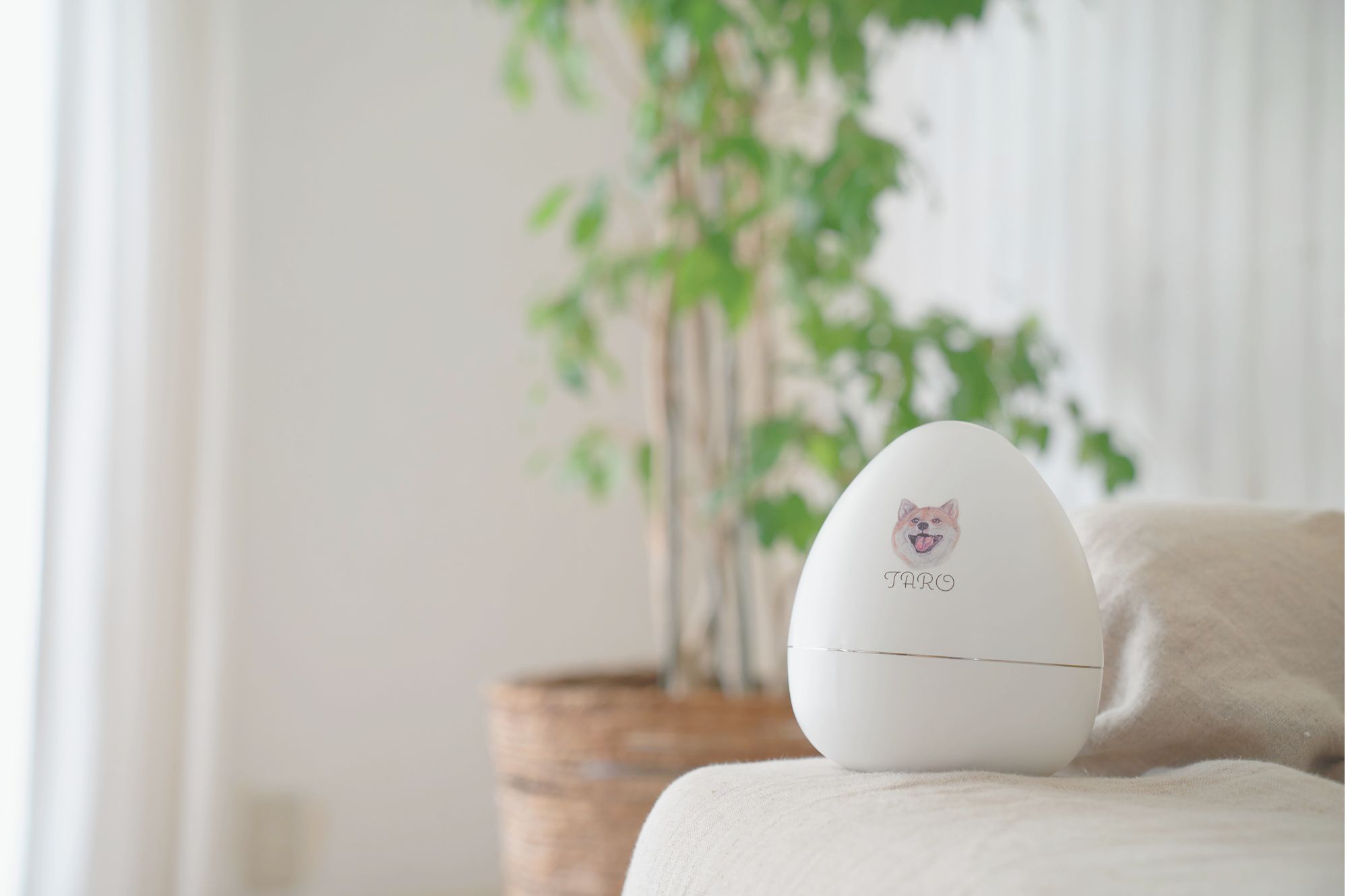 部屋の中にあるTEN