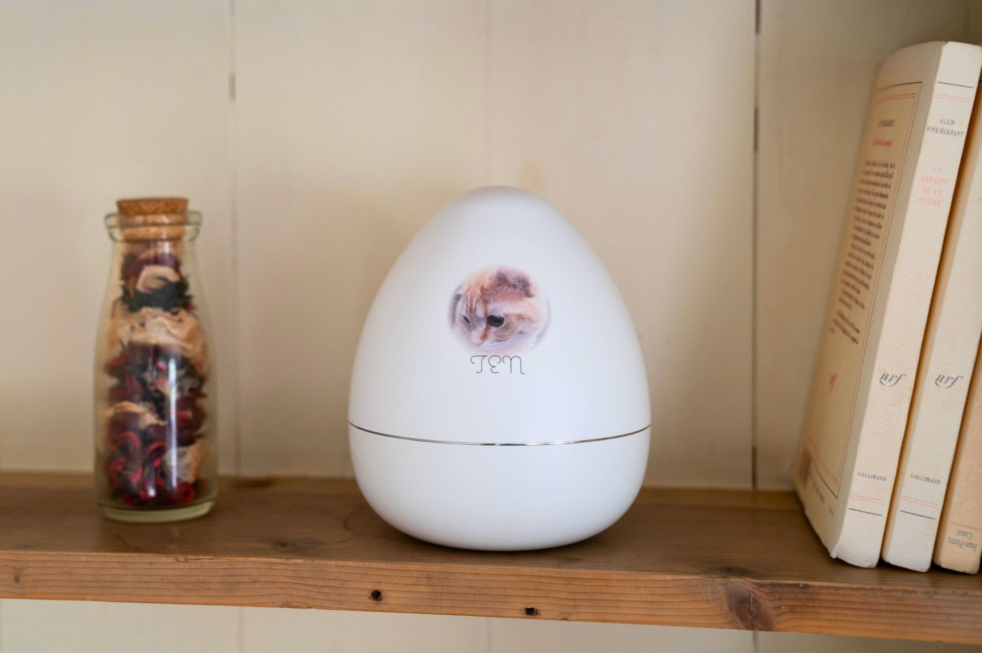 TEN マシュマロホワイト