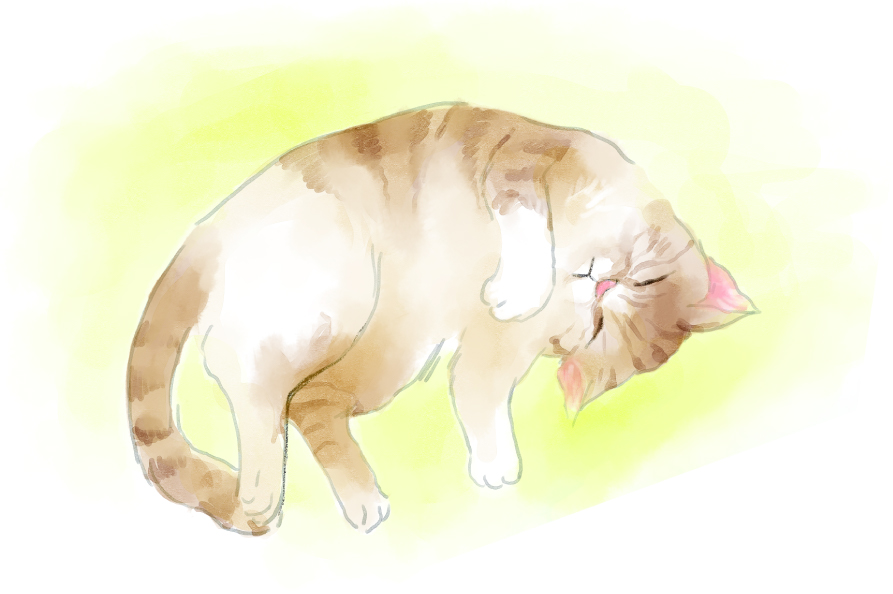 工場で過ごしていた野良猫てんちゃん
